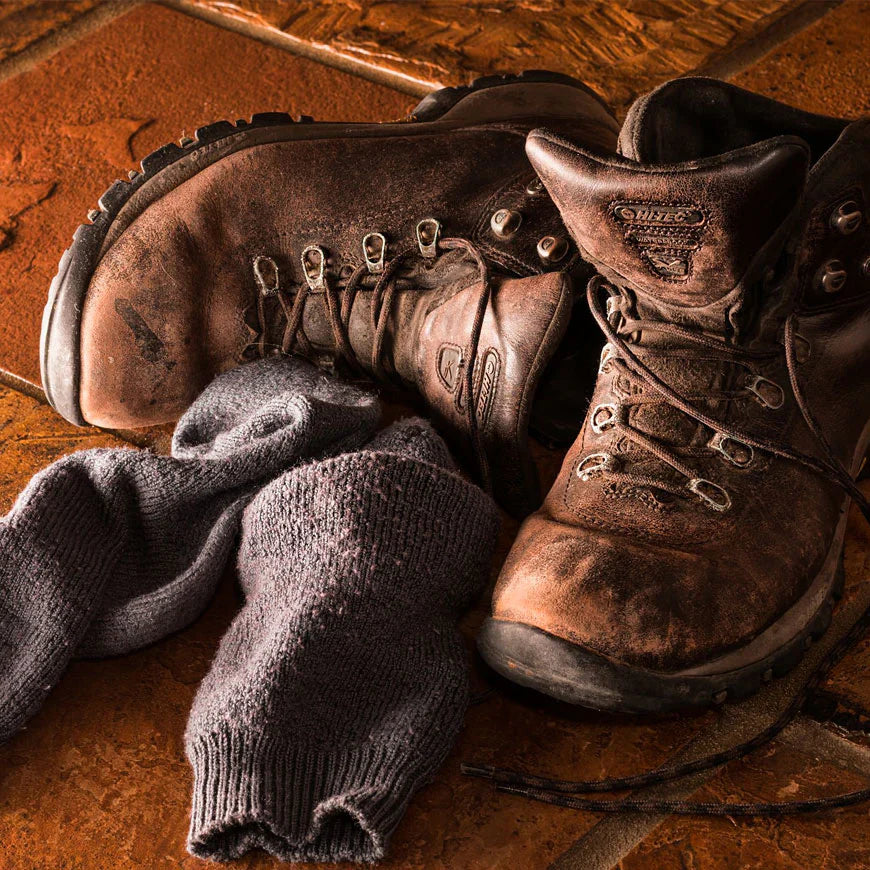 Viderer voluptatum te eum